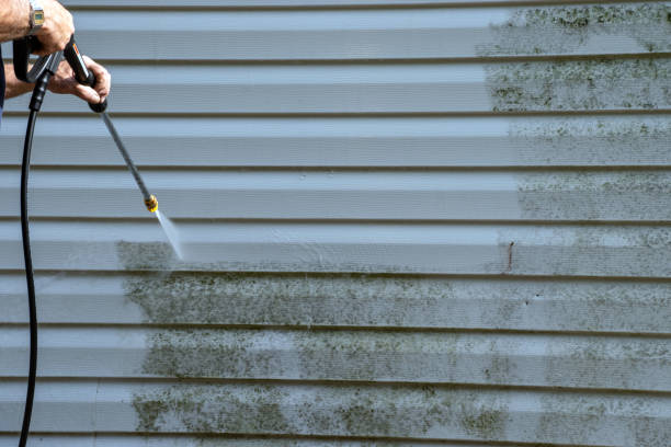 Reliable Lakeland, MN Siding Installation Solutions